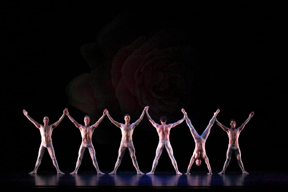 Old Favorites in a New Format