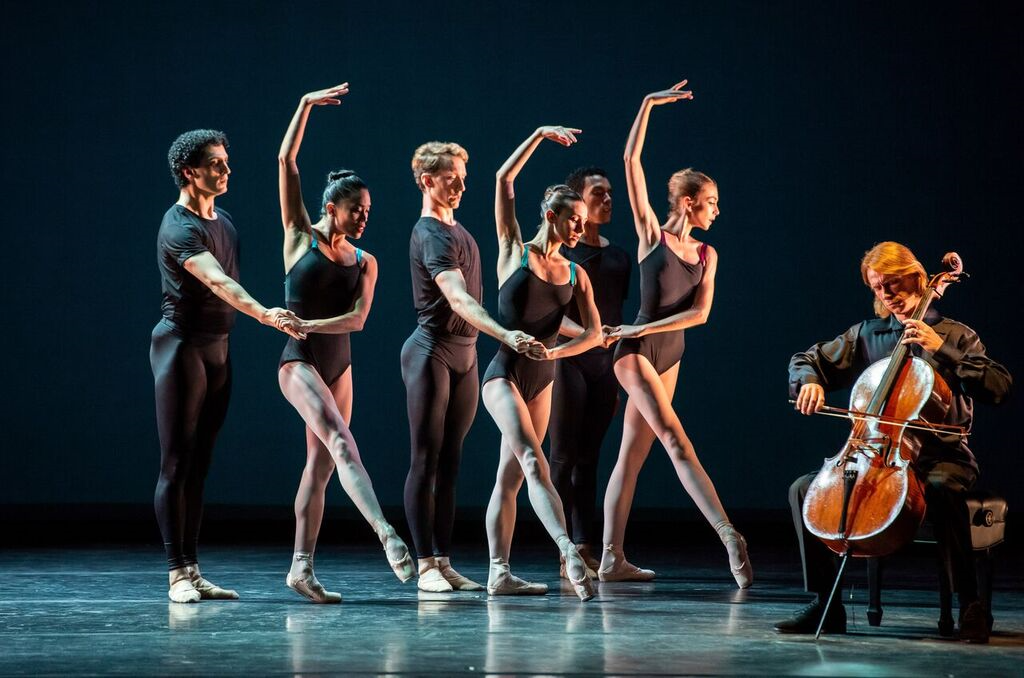 A Splendid Bouquet of Dance