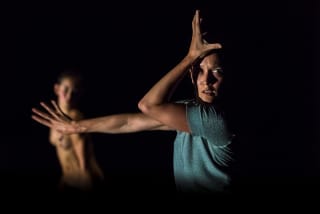 Humanity in Splitsville