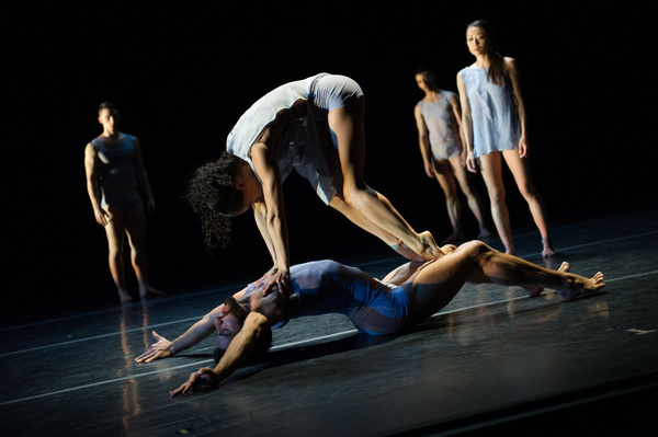 Aesthetic Introspectives