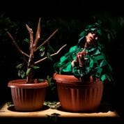 Parable of the Plant Kingdom